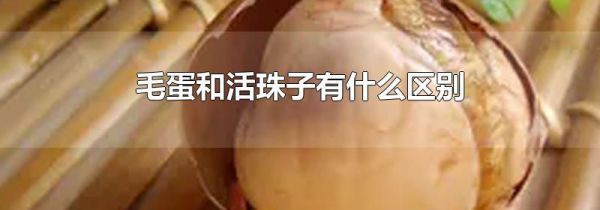 毛蛋和活珠子有什么区别