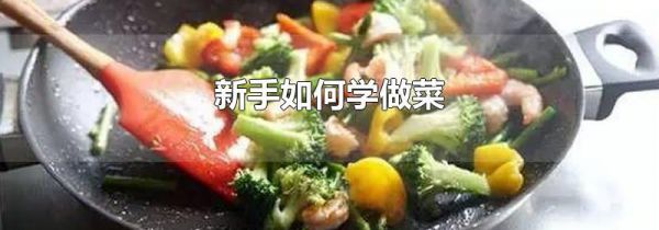 新手如何学做菜