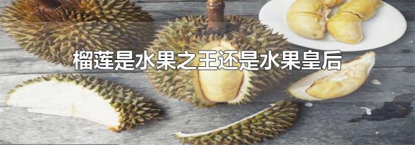 榴莲是水果之王还是水果皇后