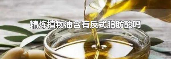 精炼植物油含有反式脂肪酸吗