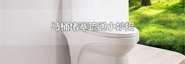 马桶堵塞疏通小妙招