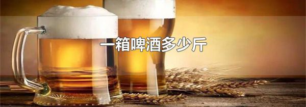一箱啤酒多少斤