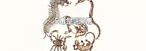 5毒是哪5毒