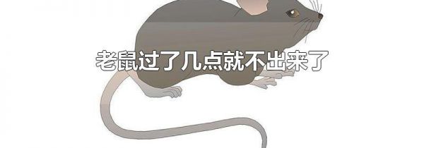老鼠过了几点就不出来了