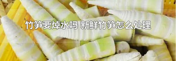 竹笋要焯水吗 新鲜竹笋怎么处理