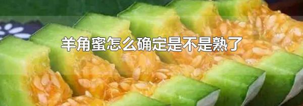 羊角蜜怎么确定是不是熟了