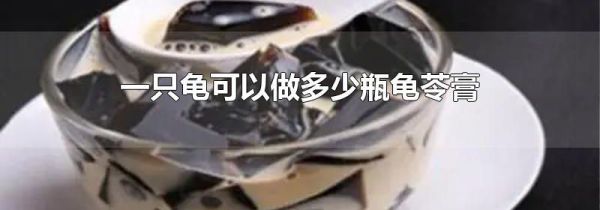 一只龟可以做多少瓶龟苓膏