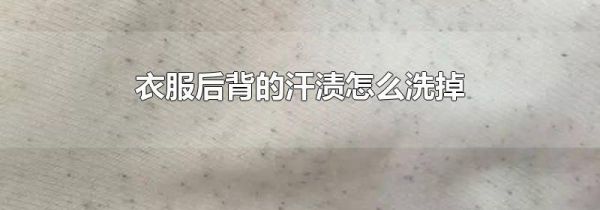 衣服后背的汗渍怎么洗掉