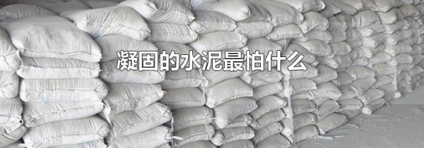 凝固的水泥最怕什么