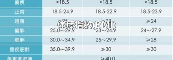 体质指数(BMI)
