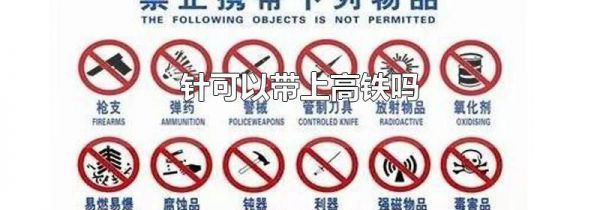针可以带上高铁吗