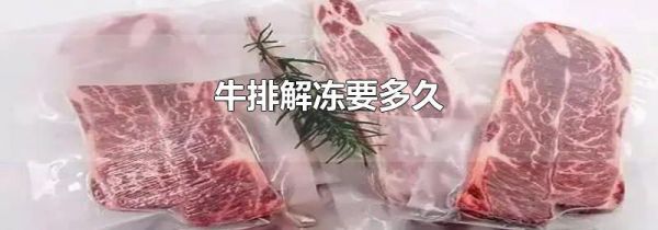 牛排解冻要多久