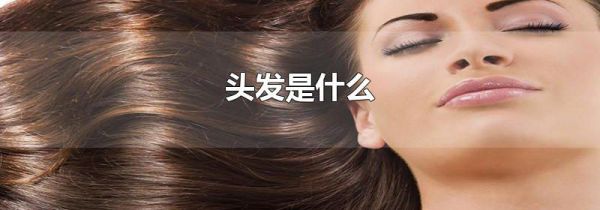头发是什么