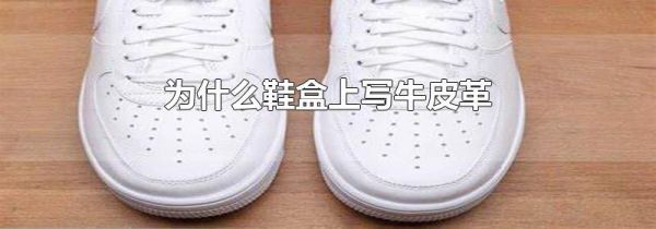 为什么鞋盒上写牛皮革