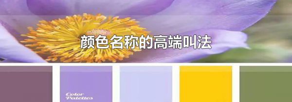 颜色名称的高端叫法