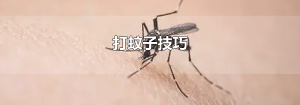 打蚊子技巧