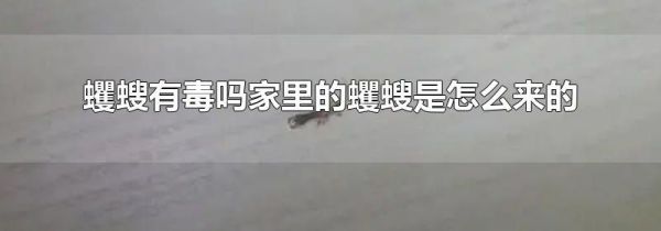 蠼螋有毒吗家里的蠼螋是怎么来的
