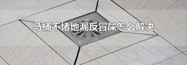 马桶不堵地漏反冒屎怎么解决