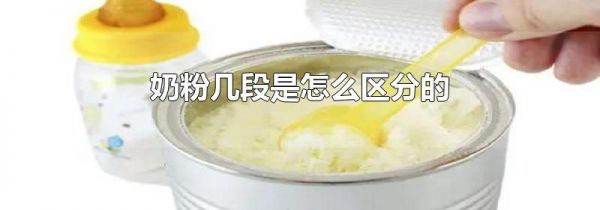 奶粉几段是怎么区分的