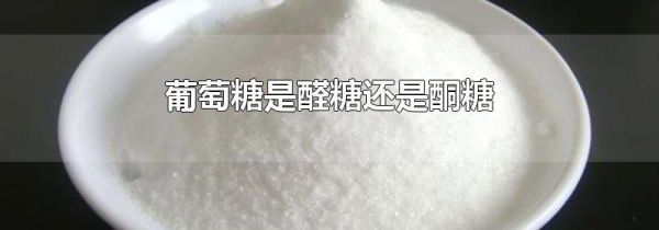 葡萄糖是醛糖还是酮糖