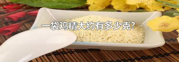 一袋鸡精大约有多少克?