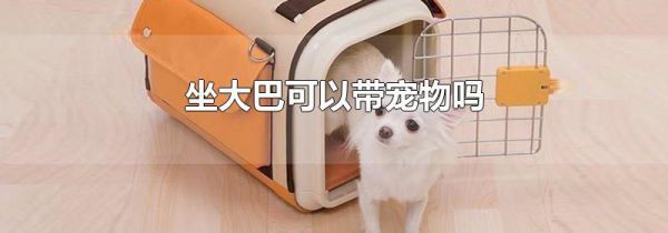 坐大巴可以带宠物吗