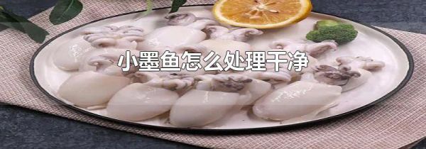 小墨鱼怎么处理干净