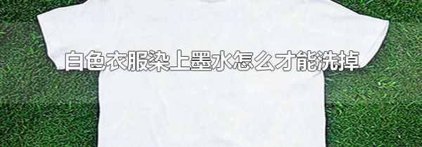 白色衣服染上墨水怎么才能洗掉