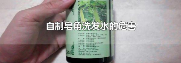 自制皂角洗发水的危害