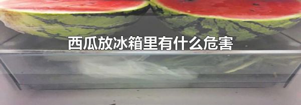 西瓜放冰箱里有什么危害