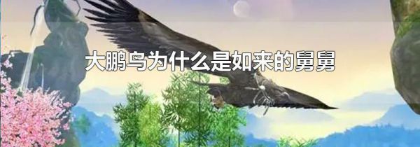 大鹏鸟为什么是如来的舅舅