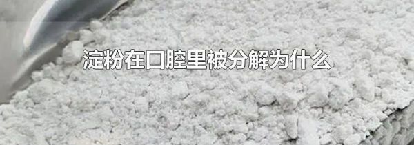 淀粉在口腔里被分解为什么
