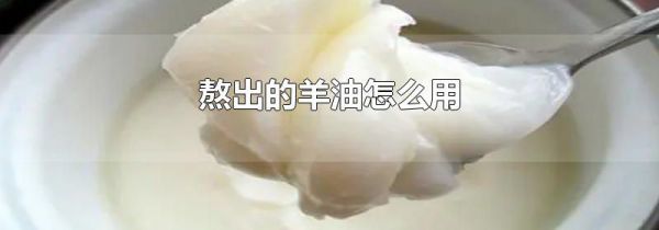 熬出的羊油怎么用