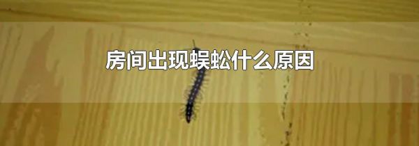 房间出现蜈蚣什么原因