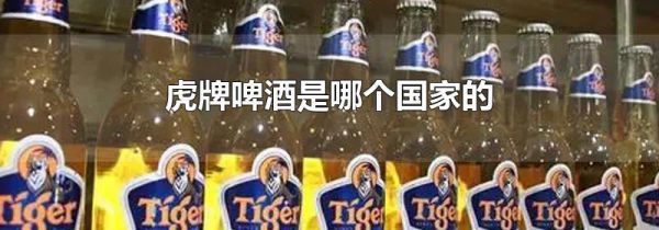 虎牌啤酒是哪个国家的