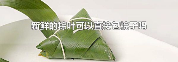 新鲜的粽叶可以直接包粽子吗
