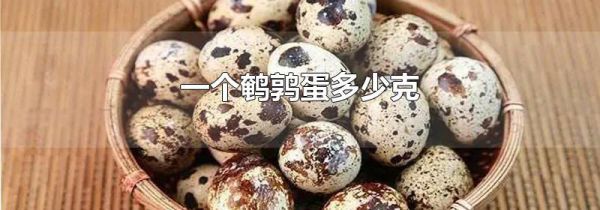 一个鹌鹑蛋多少克