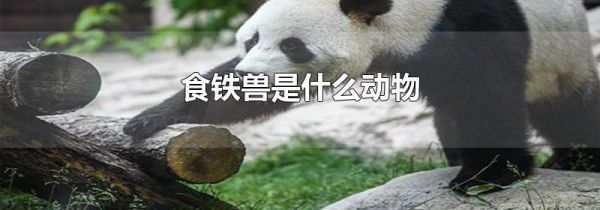 食铁兽是什么动物