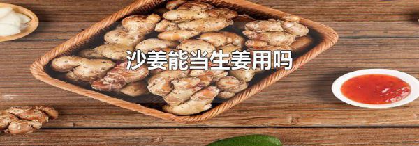 沙姜能当生姜用吗