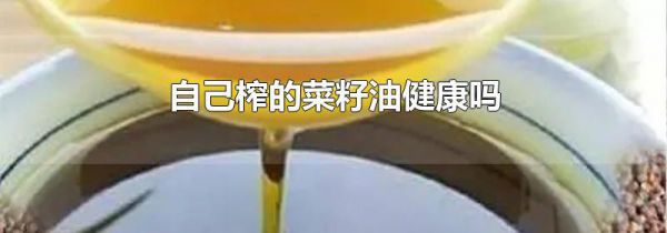 自己榨的菜籽油健康吗