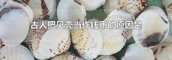 古人把贝壳当作钱币的原因是