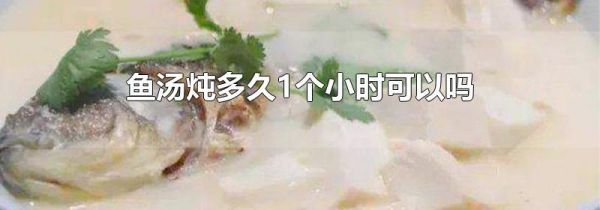 鱼汤炖多久1个小时可以吗