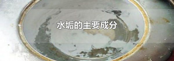 水垢的主要成分