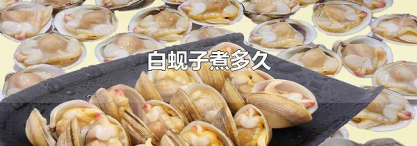 白蚬子煮多久