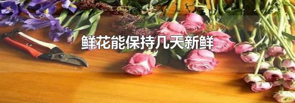 鲜花能保持几天新鲜