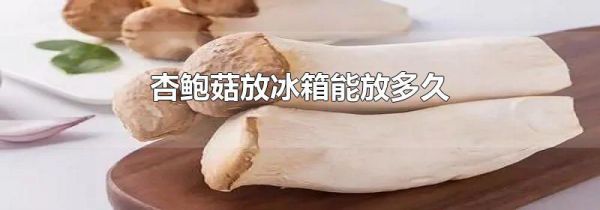 杏鲍菇放冰箱能放多久