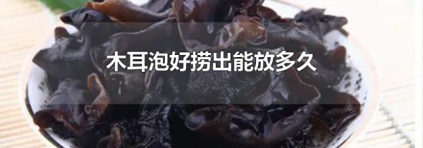 木耳泡好捞出能放多久