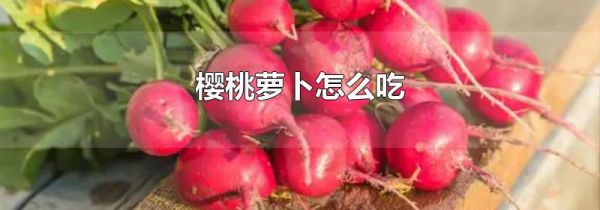 樱桃萝卜怎么吃