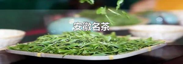 安徽名茶