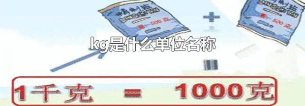 kg是什么单位名称